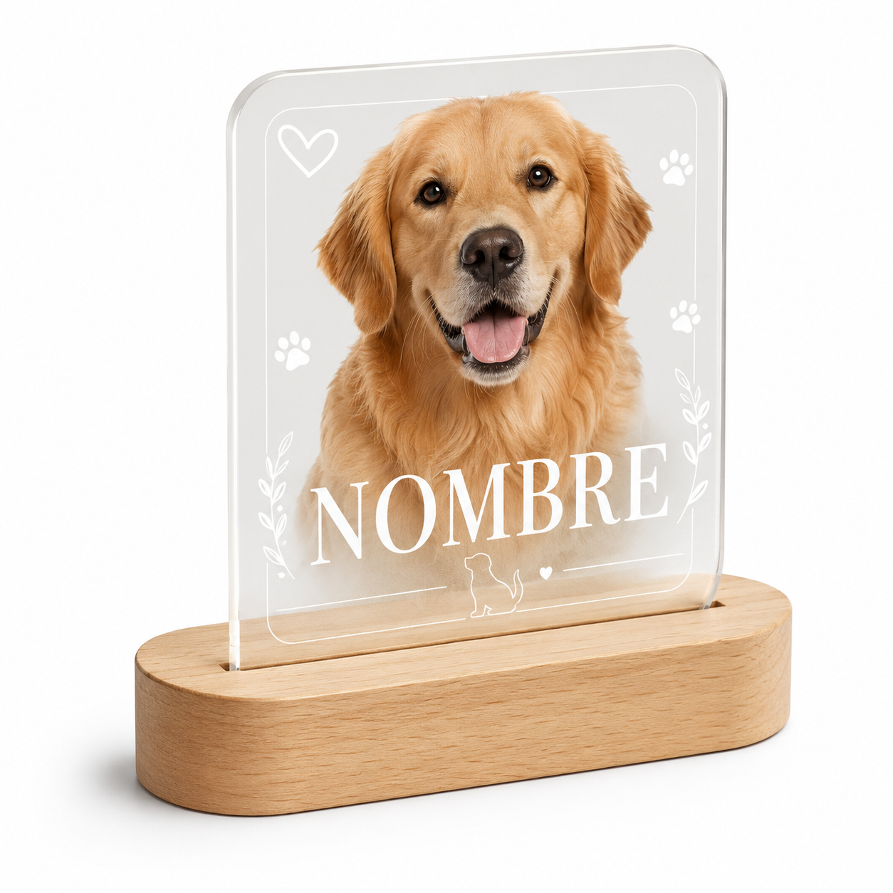 Lámpara de mascota personalizada con foto y nombre recuerdo LED