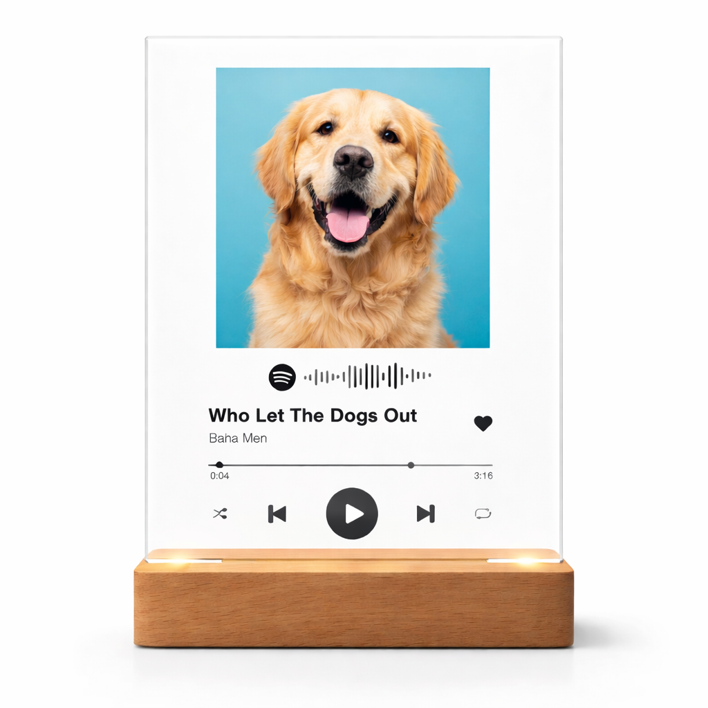 Lámpara Spotify Mascota | La Canción de Tu Compañero Personalizada LED