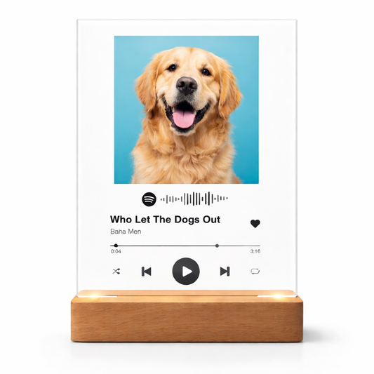 Lámpara Spotify Mascota | La Canción de Tu Compañero Personalizada LED